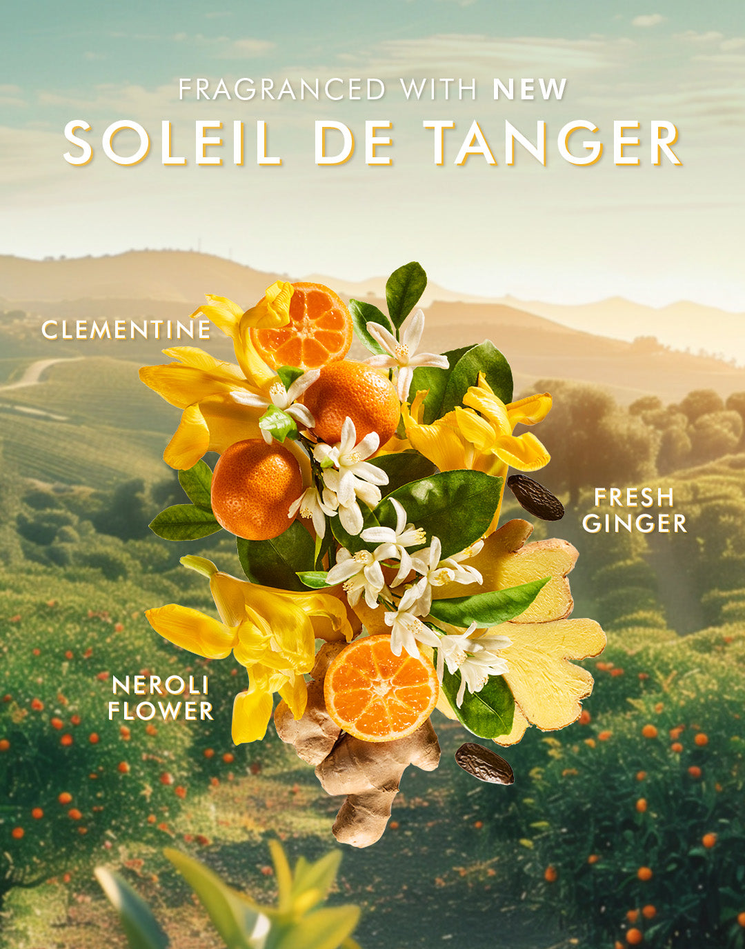 Gel Douche Soleil de Tanger