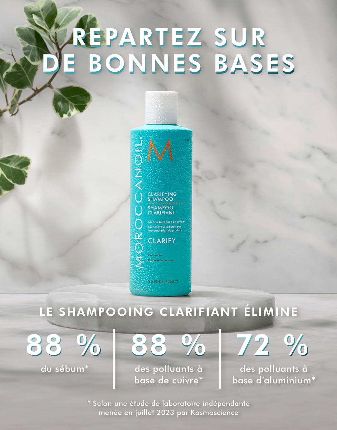 Shampooing Clarifiant