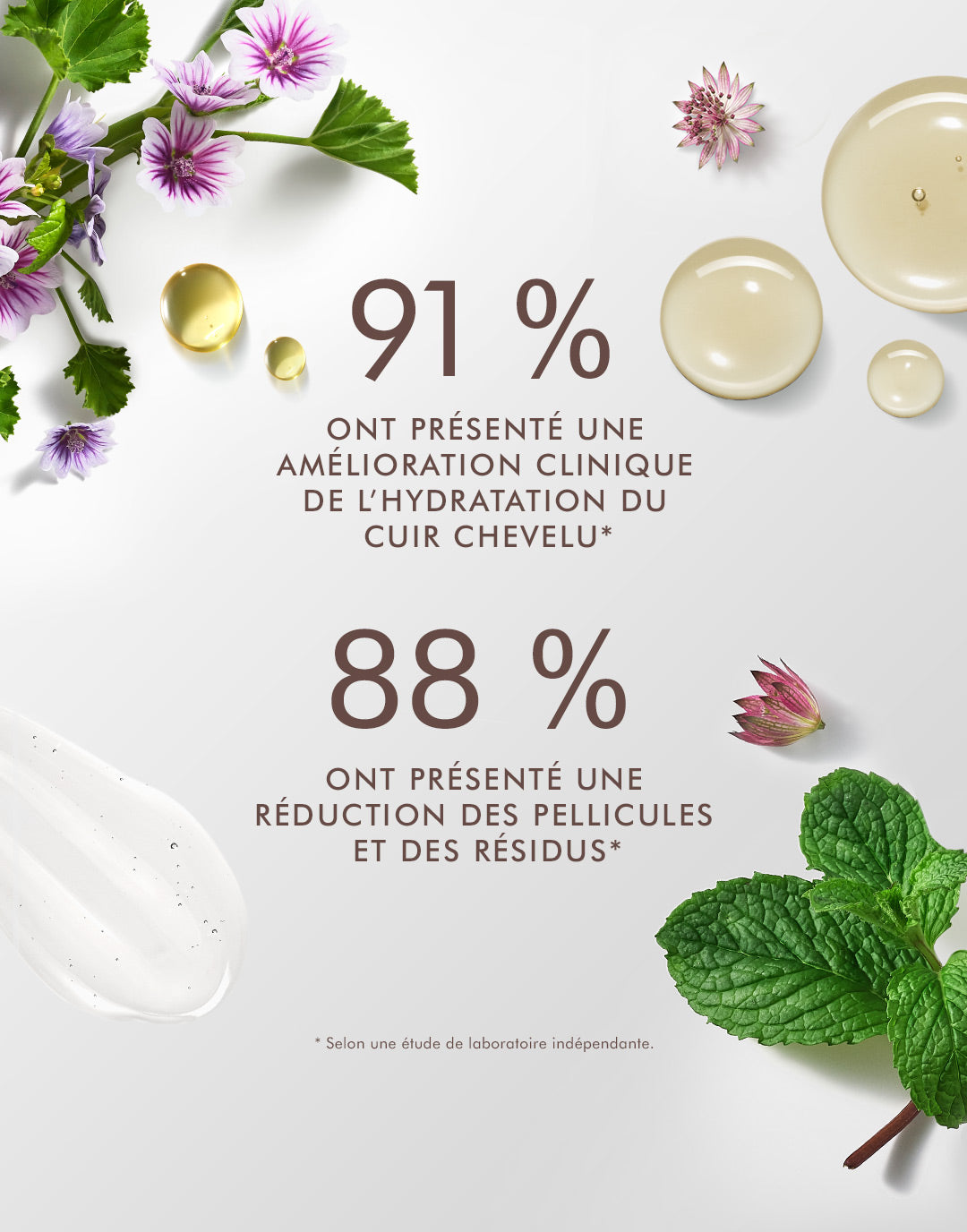 Scalp Balancing Shampoo