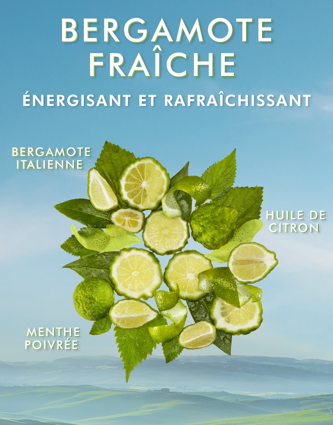 Shower Gel Bergamote Fraîche – | Moroccanoil Canada