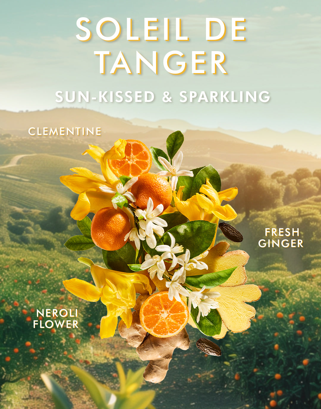 Shower Gel Soleil de Tanger