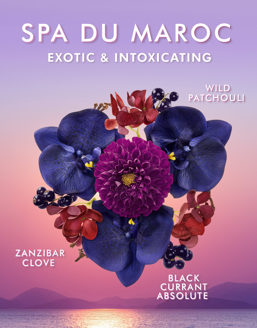 Gel Douche Spa Du Maroc