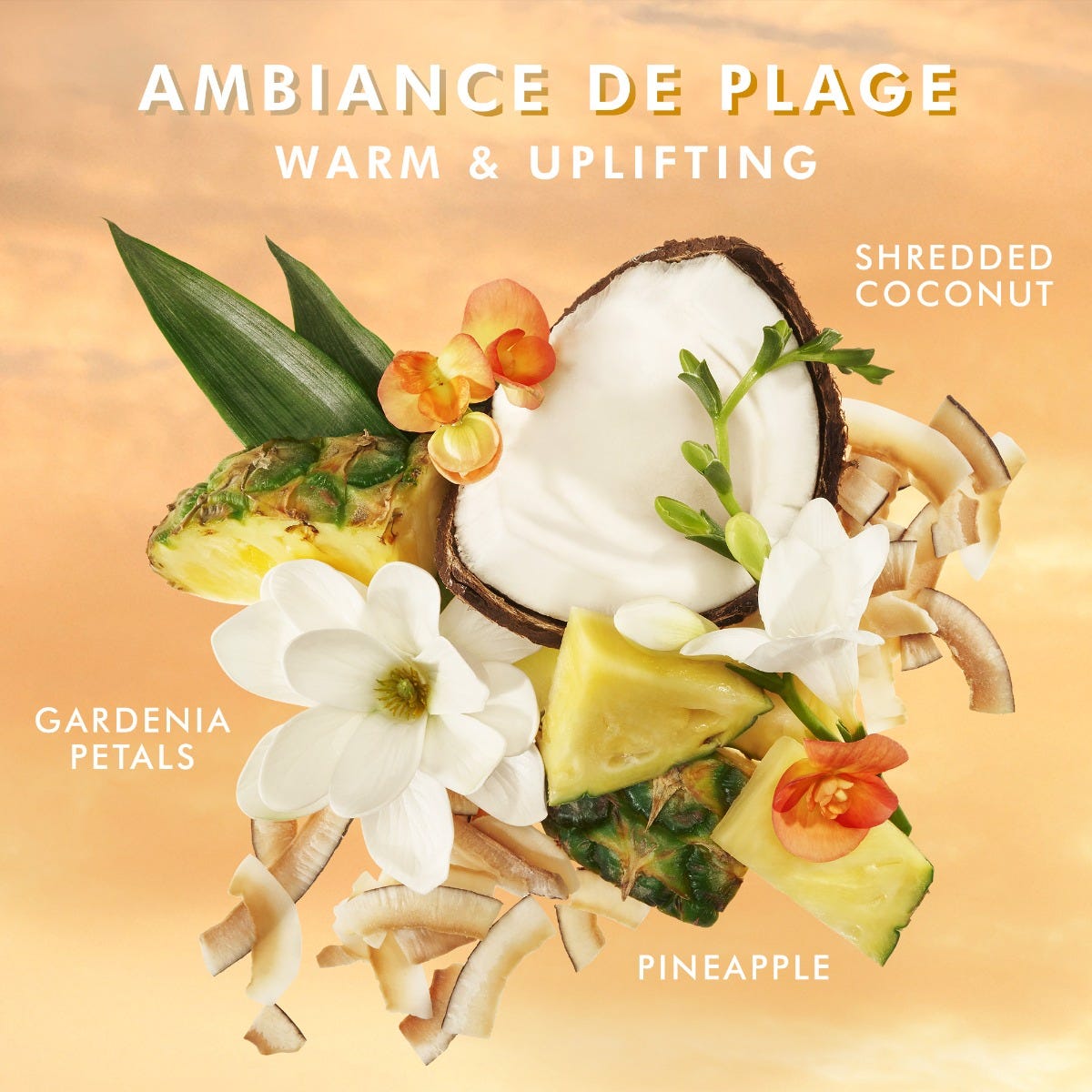 Lotion pour le Corps Ambiance de Plage